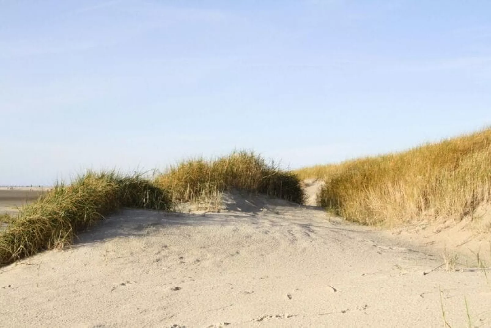 Ferienwohnung Langeneß-Gebieden zomer 5km