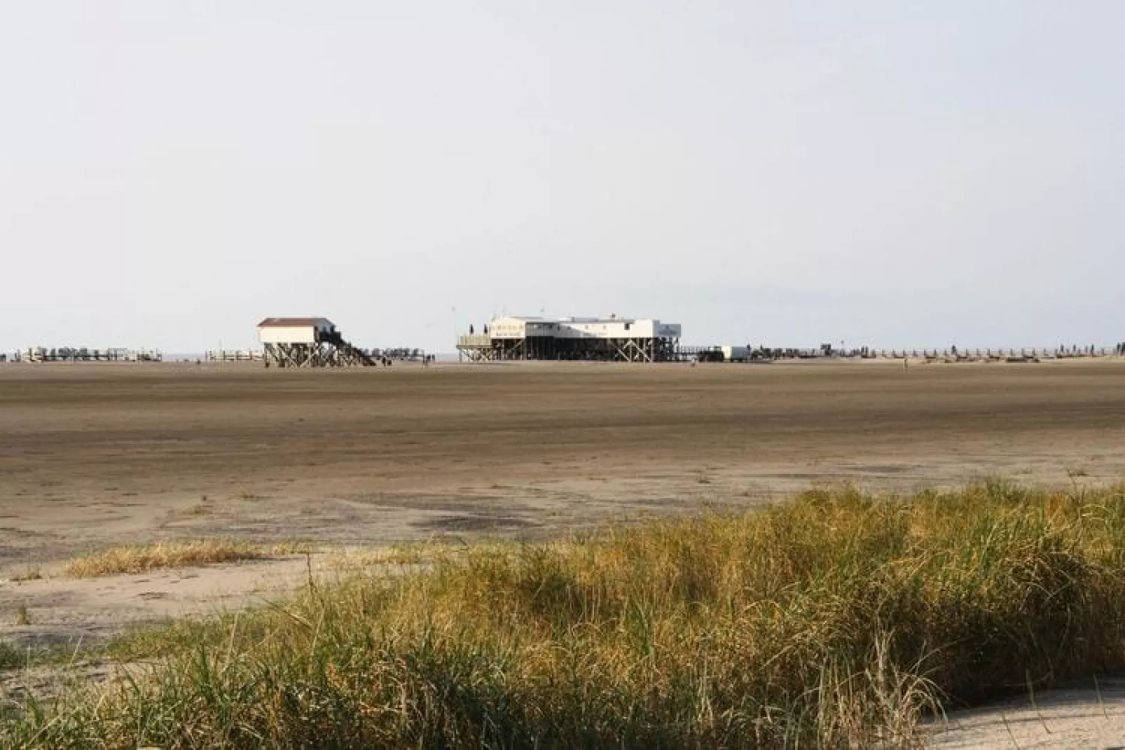 Reihenhaus Deichblick 2 Pers St Peter - Ording-Gebieden zomer 5km