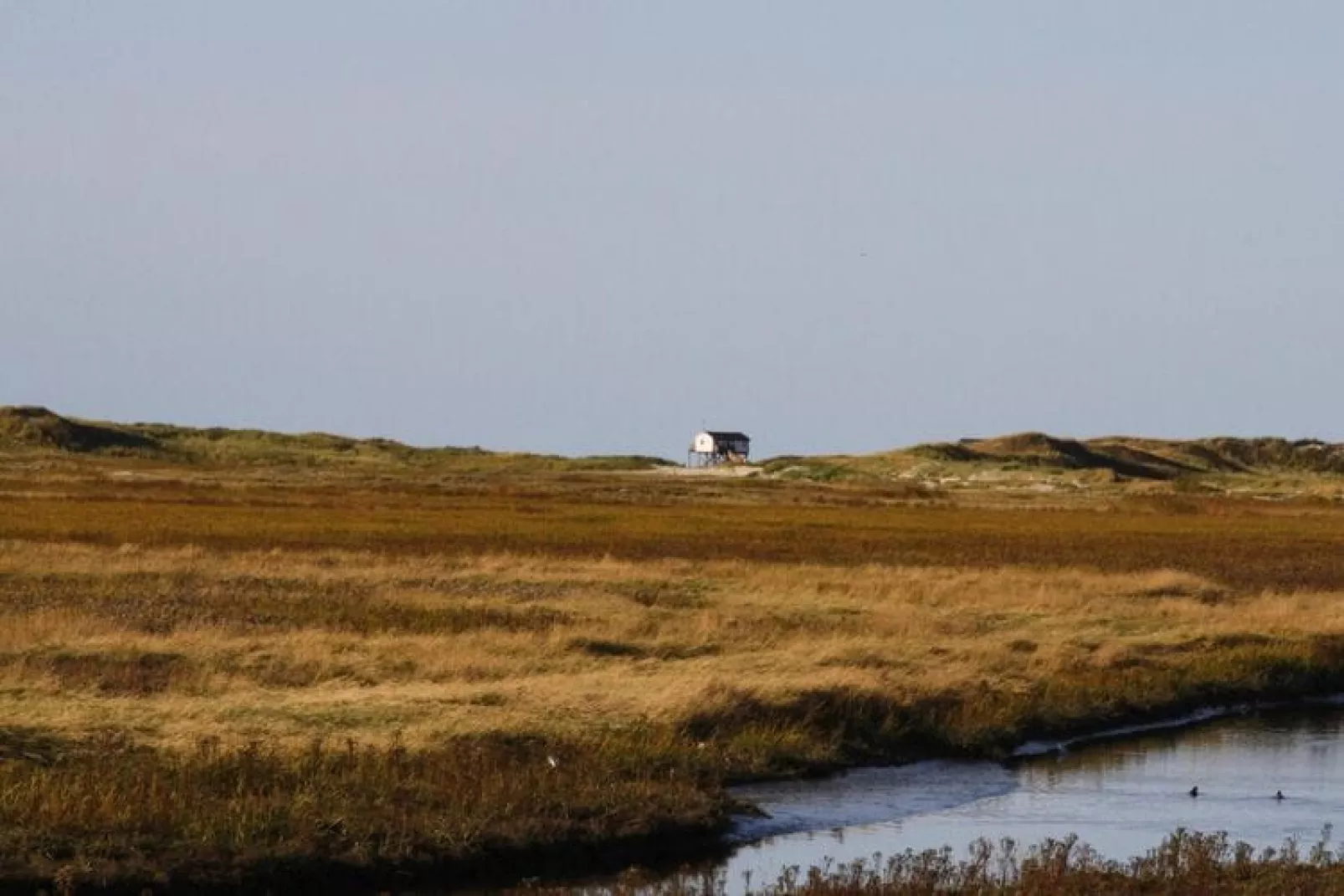 Reihenhaus Deichblick 2 Pers St Peter - Ording-Gebieden zomer 20km