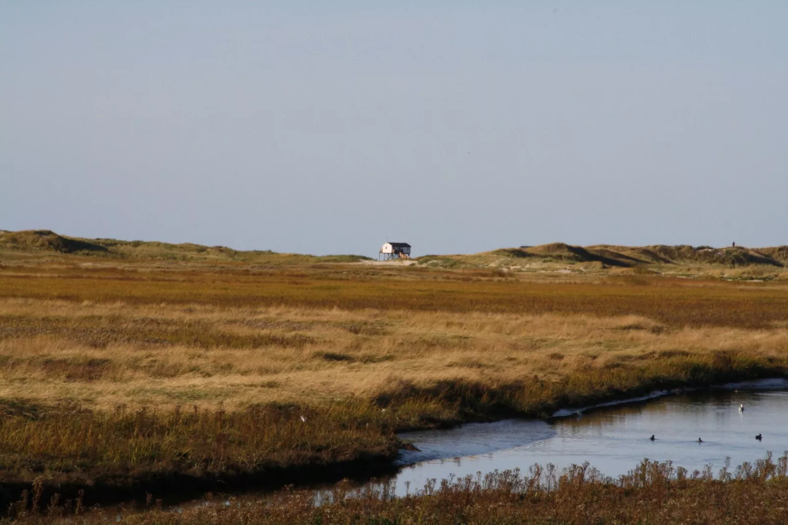 Reihenhaus Deichblick 4 Pers St Peter - Ording-Gebieden zomer 20km