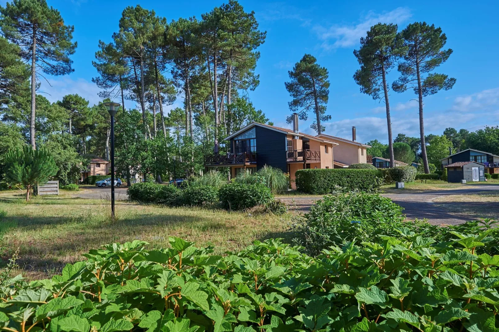 Château de Salles-Gebieden zomer 1km