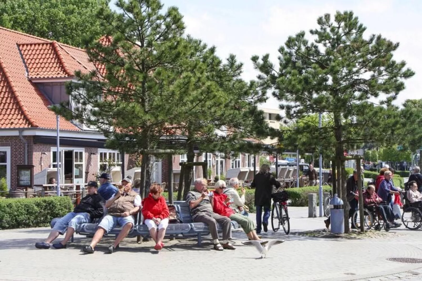 Ferienwohnung Anna-Gebieden zomer 1km