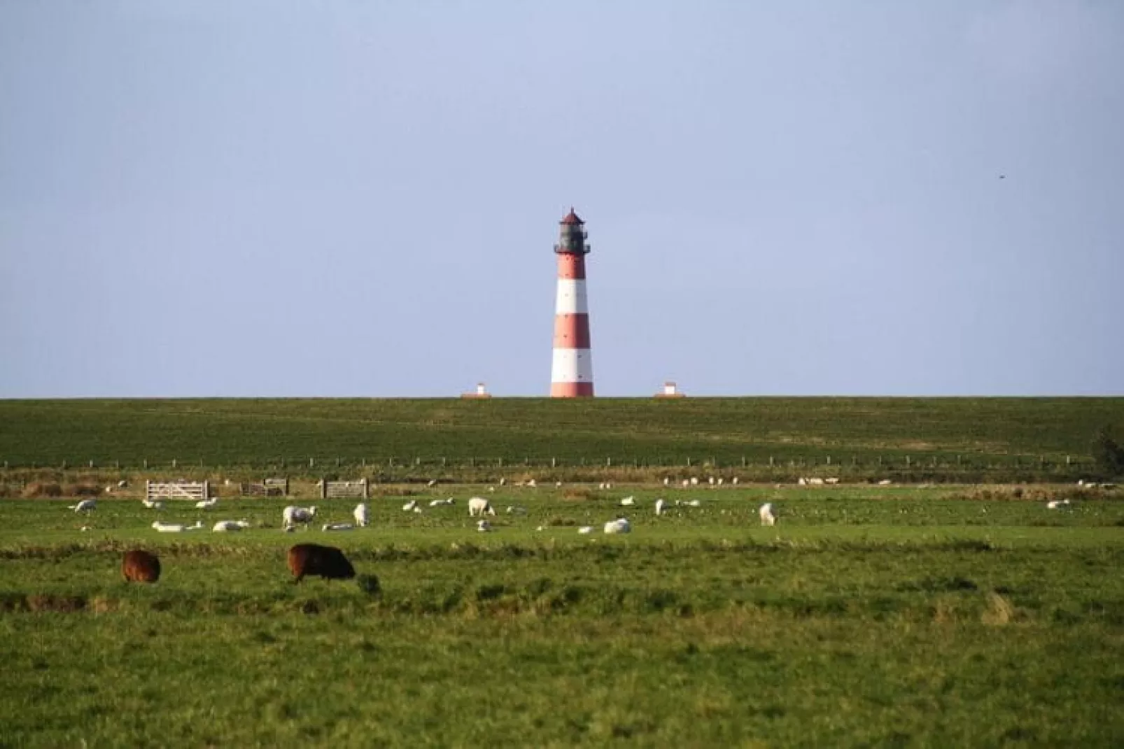 Ferienwohnung nordisch Garding-Gebieden zomer 20km