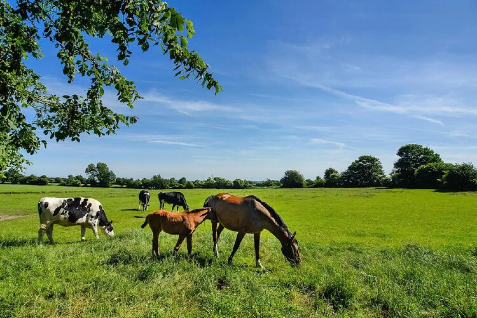 Das Posthus in Behrendorf-Tuinen zomer