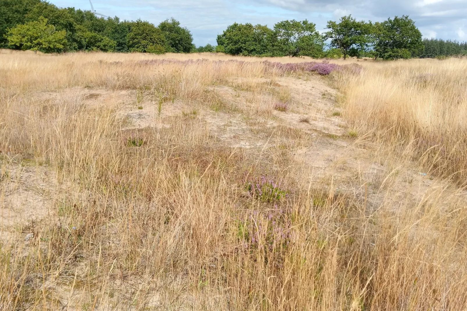 Ferienhaus in Neukirchen-Gebieden zomer 20km