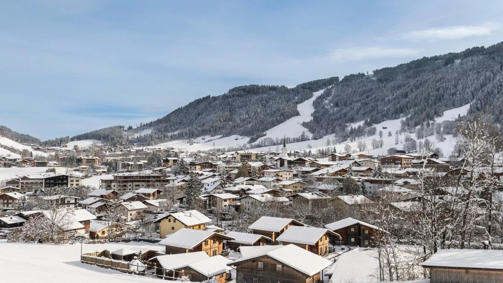 Urige Doppelhaushälfte 8-Gebied winter 20km