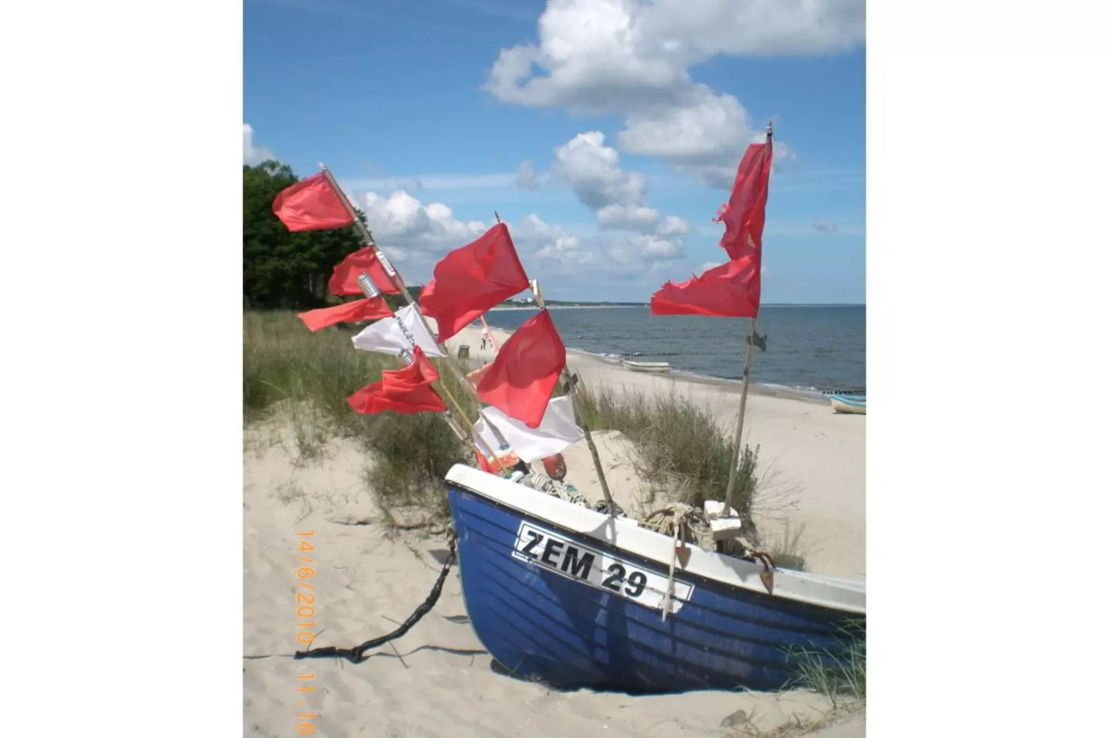 45627-Gebieden zomer 1km