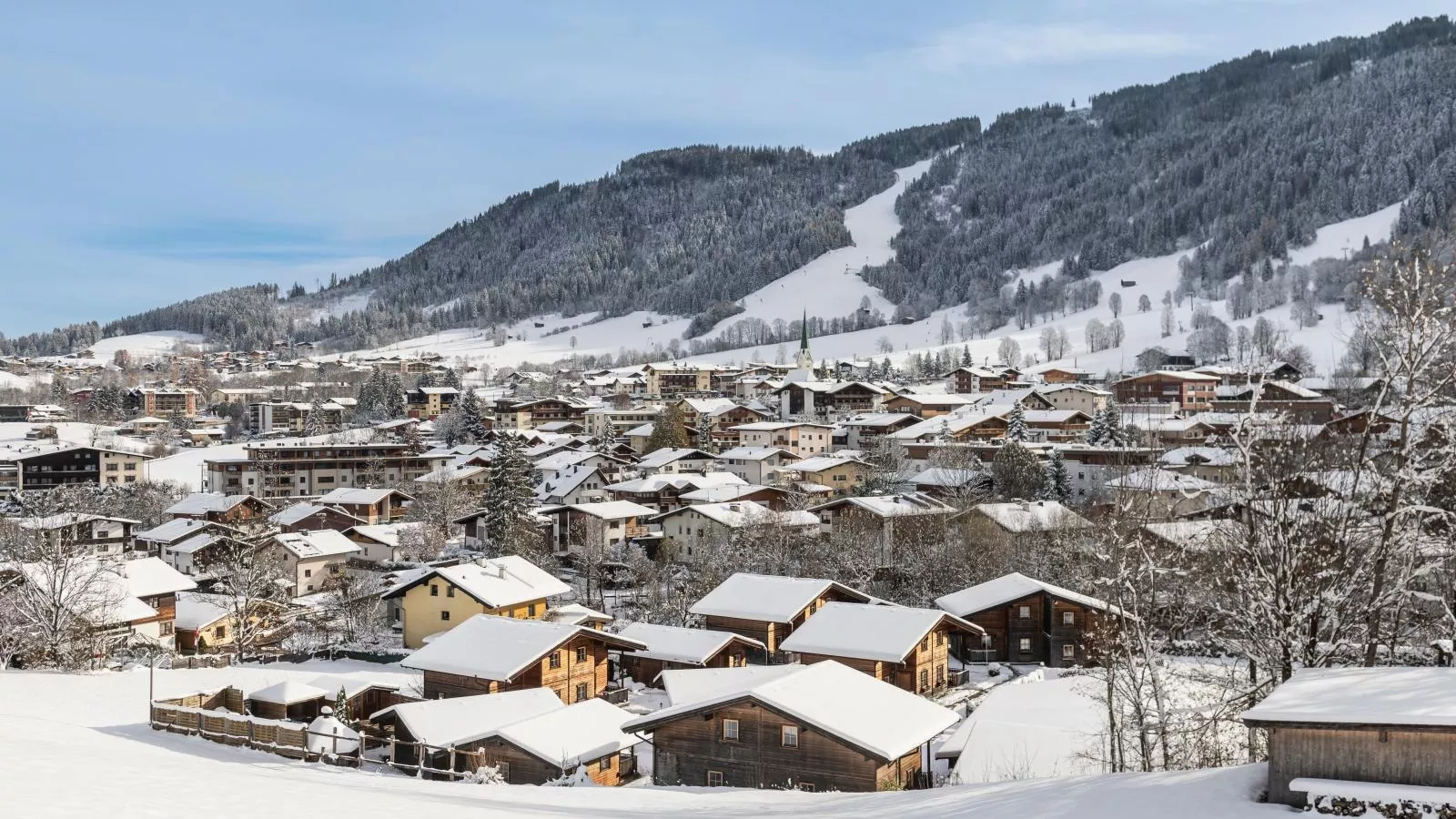 Uriges Chalet 7-Gebied winter 20km