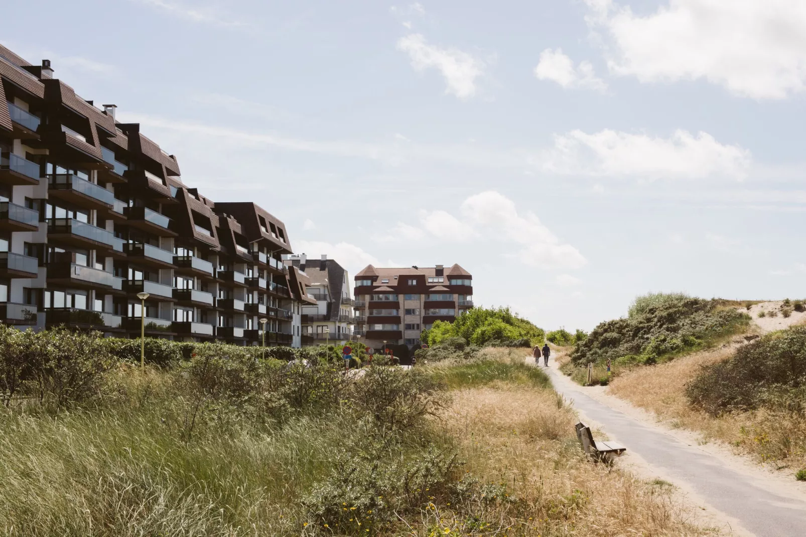 PLAZA E/2433-Gebieden zomer 1km