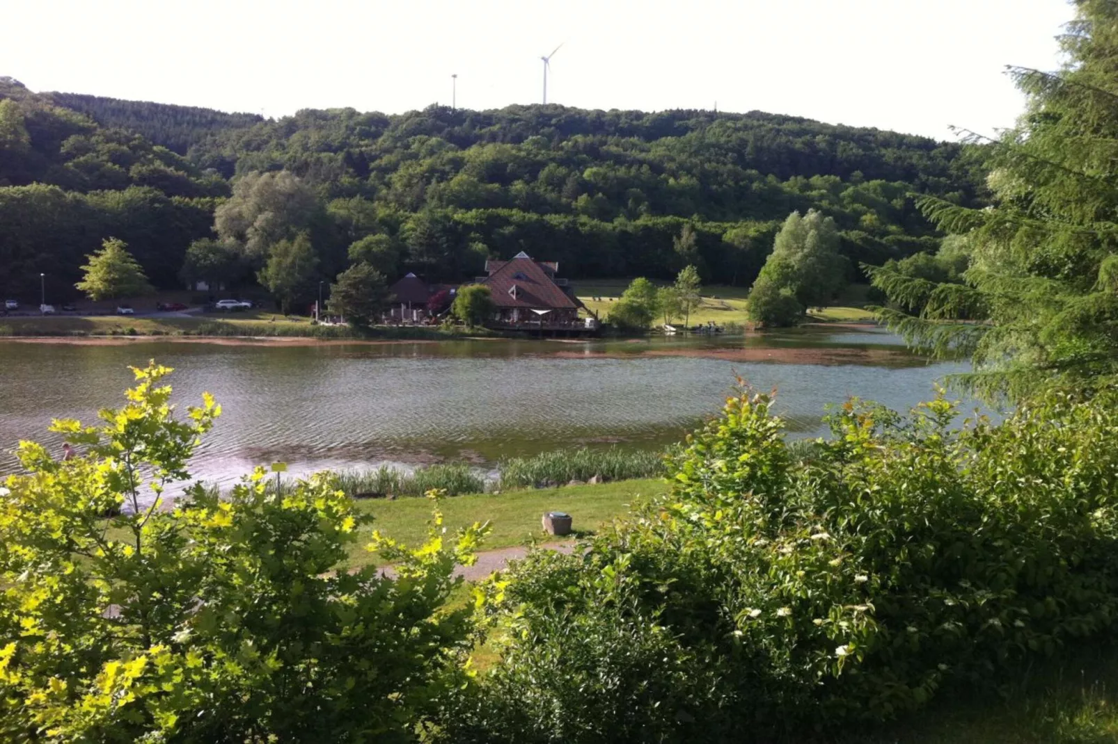 61802-Gebieden zomer 5km