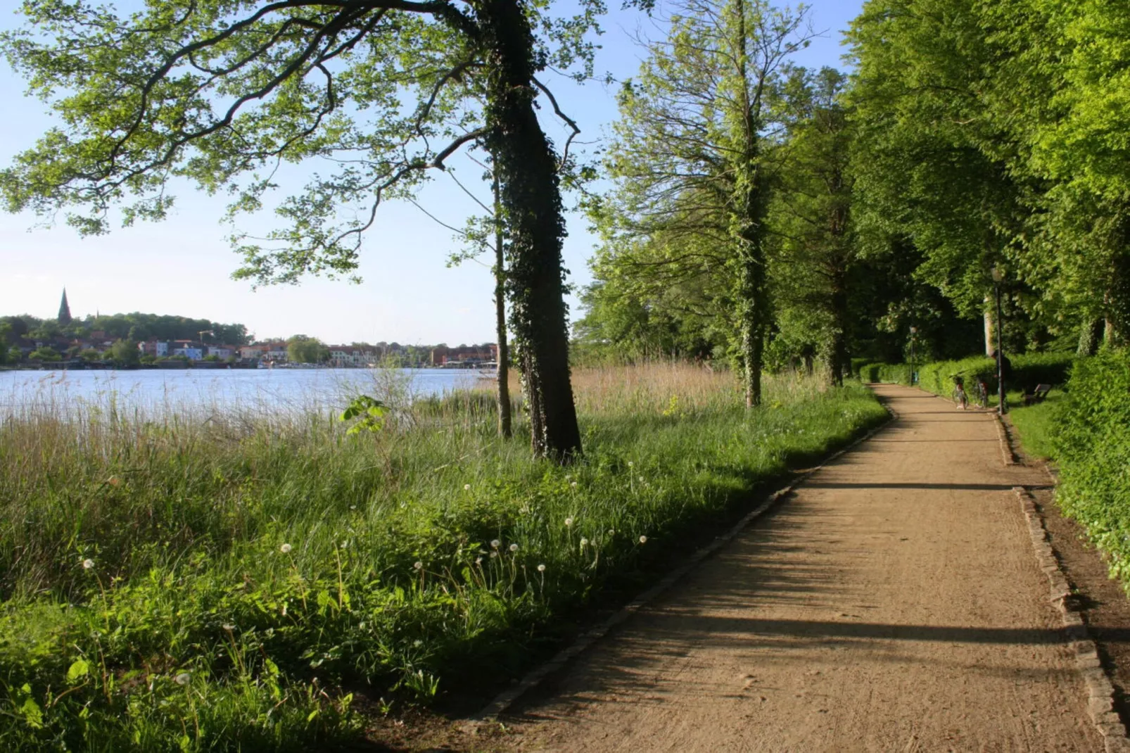 189189-Gebieden zomer 5km