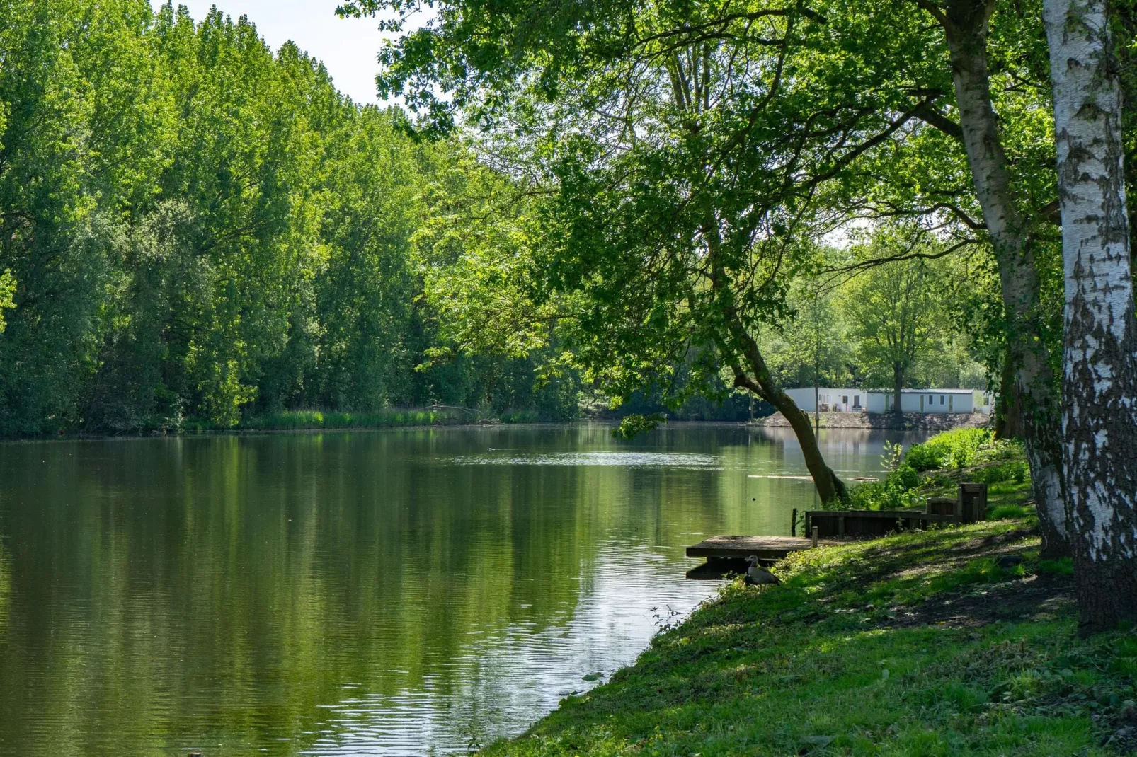 Resort Het Amsterdamse Bos 9-Gebieden zomer 1km