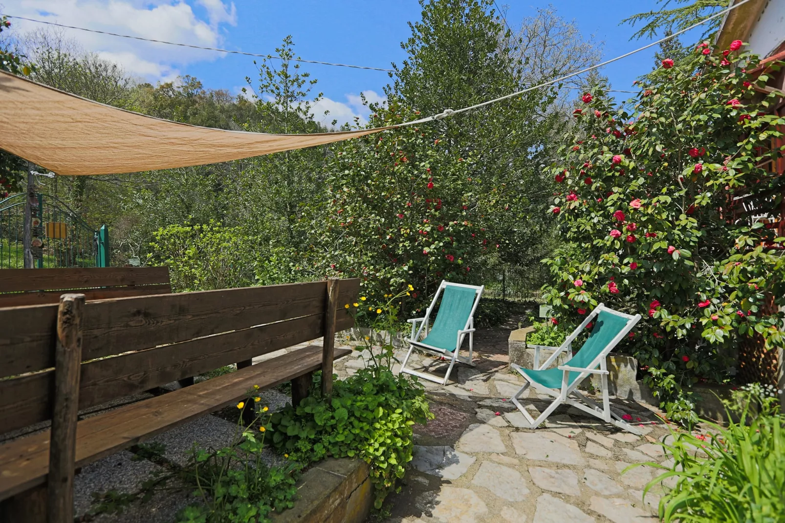 Agrifogli Rosa-Terrasbalkon