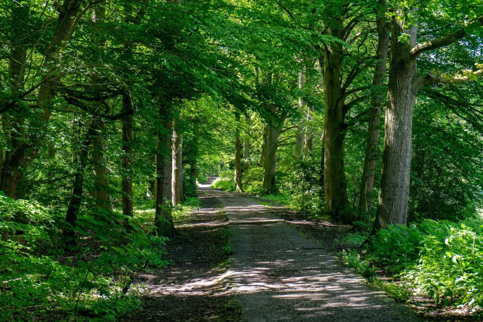 Resort Het Amsterdamse Bos 9-Gebieden zomer 5km