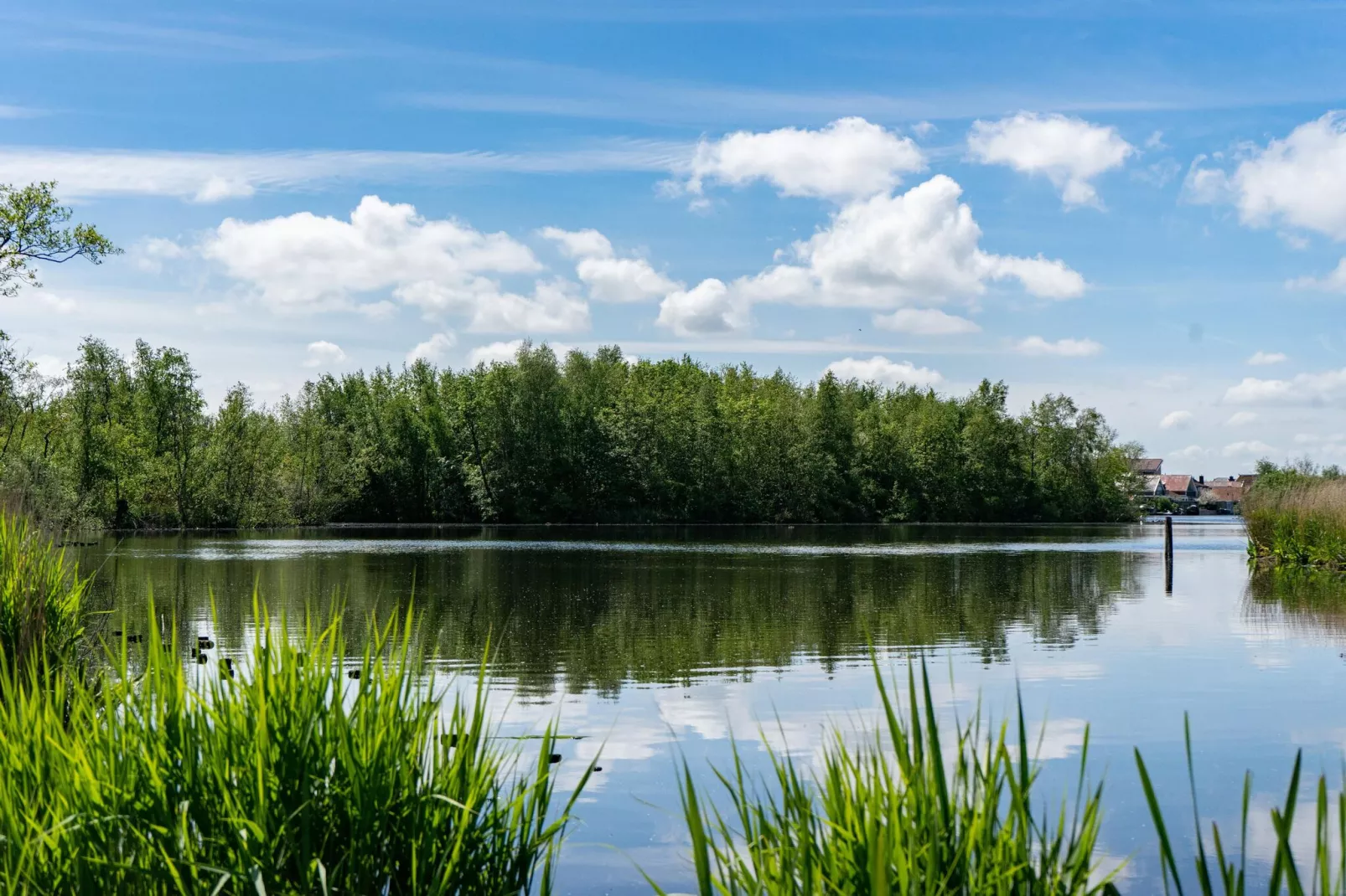 Resort Het Amsterdamse Bos 9-Gebieden zomer 5km