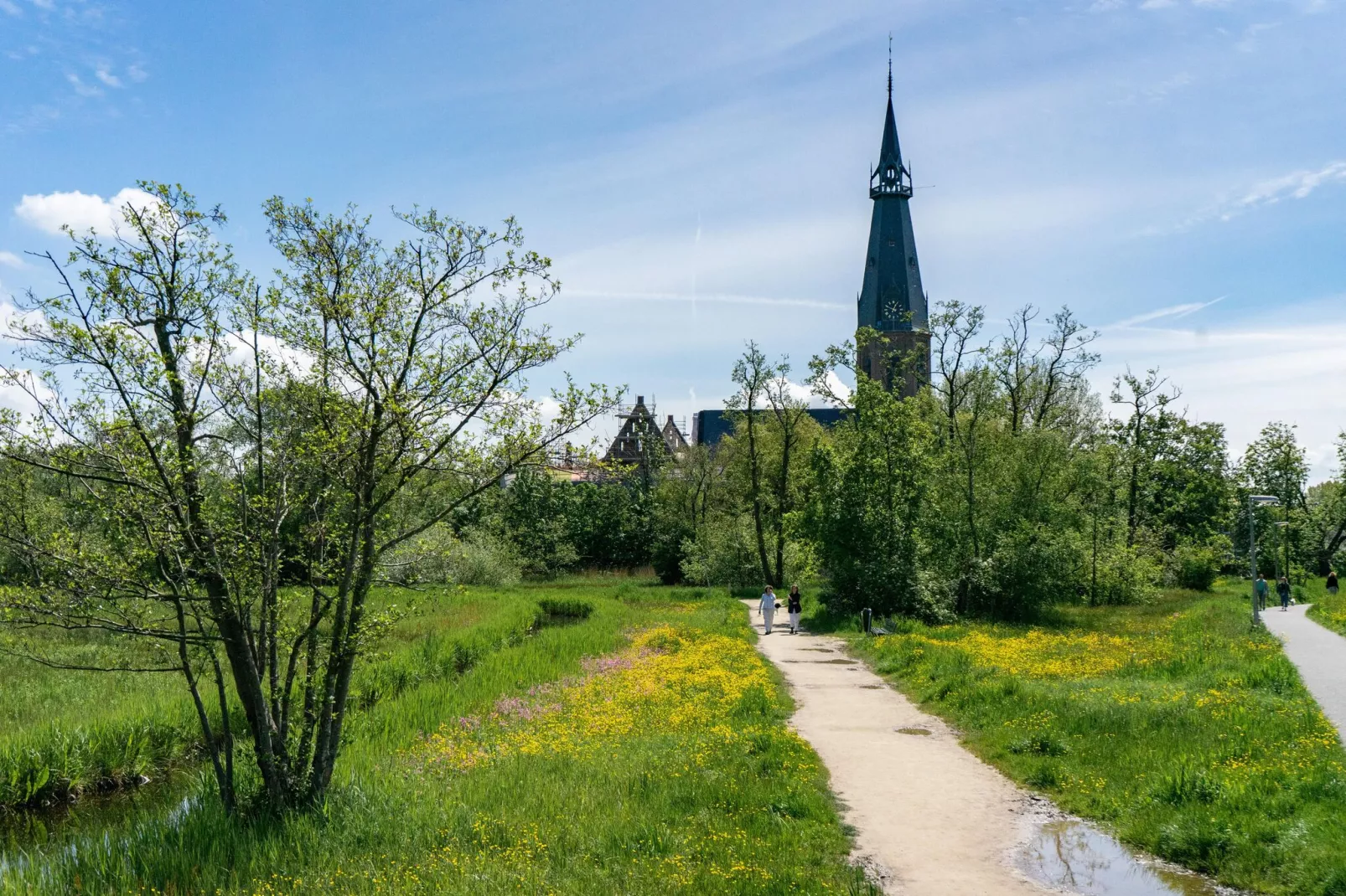 Resort Het Amsterdamse Bos 9-Gebieden zomer 20km