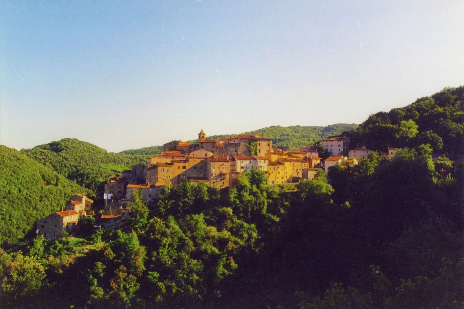 Agrifogli Rosa-Gebieden zomer 1km