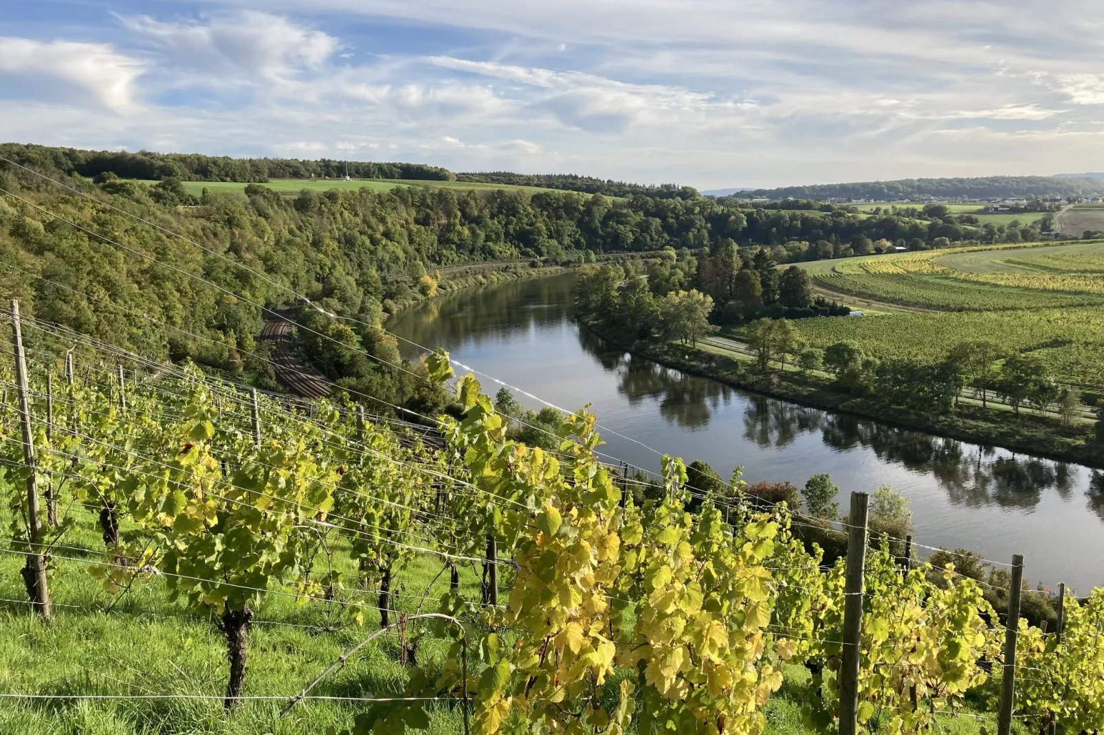 Weingut Kirch-Gebieden zomer 1km