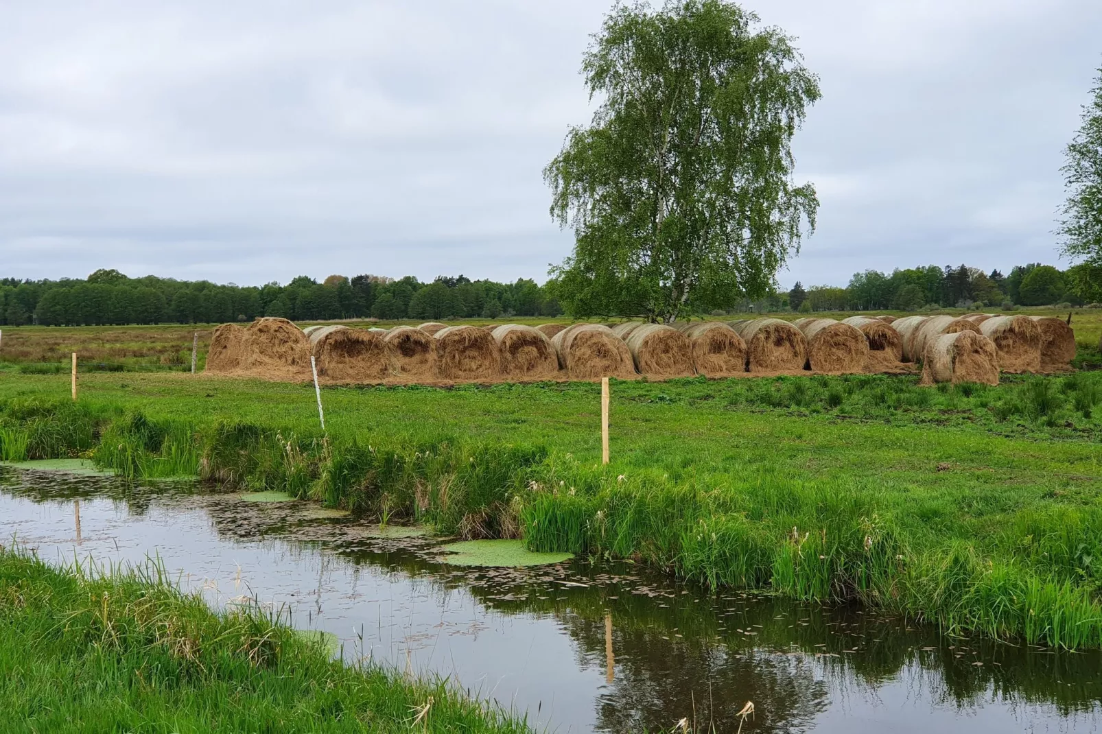 Holiday house Larch Nook-Gebieden zomer 1km