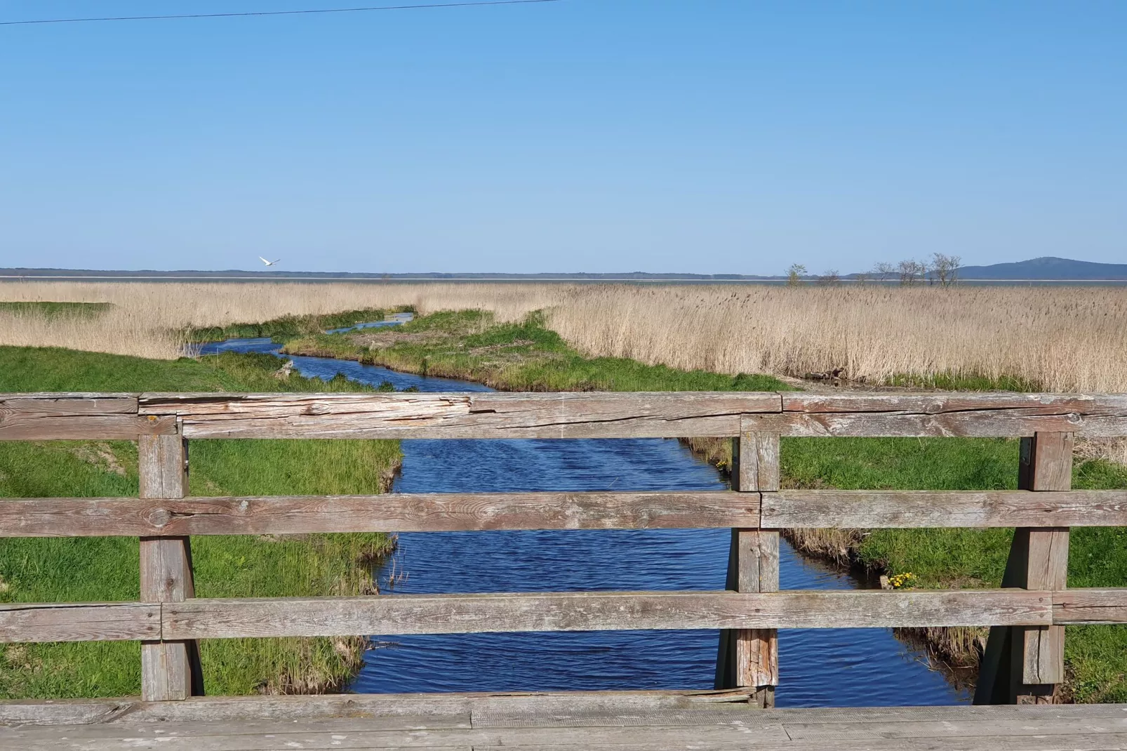 Holiday house Larch Nook-Gebieden zomer 1km