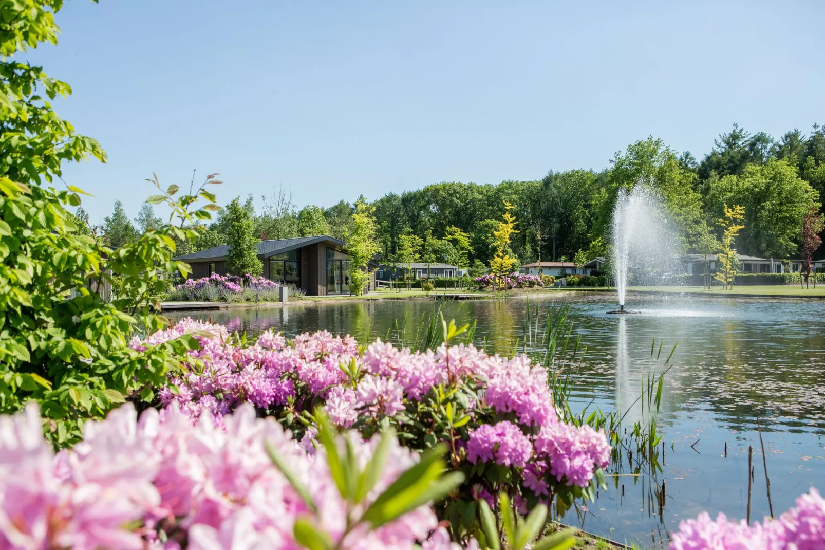 Vakantiepark Molenvelden 9-Parkfaciliteiten