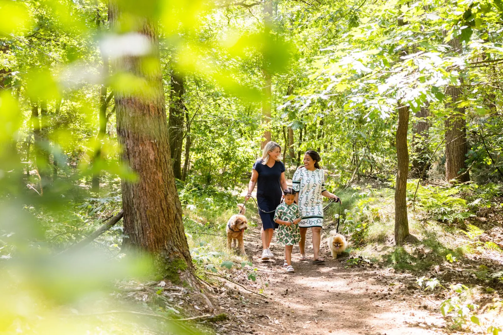 Vakantiepark Molenvelden 9-Gebieden zomer 1km