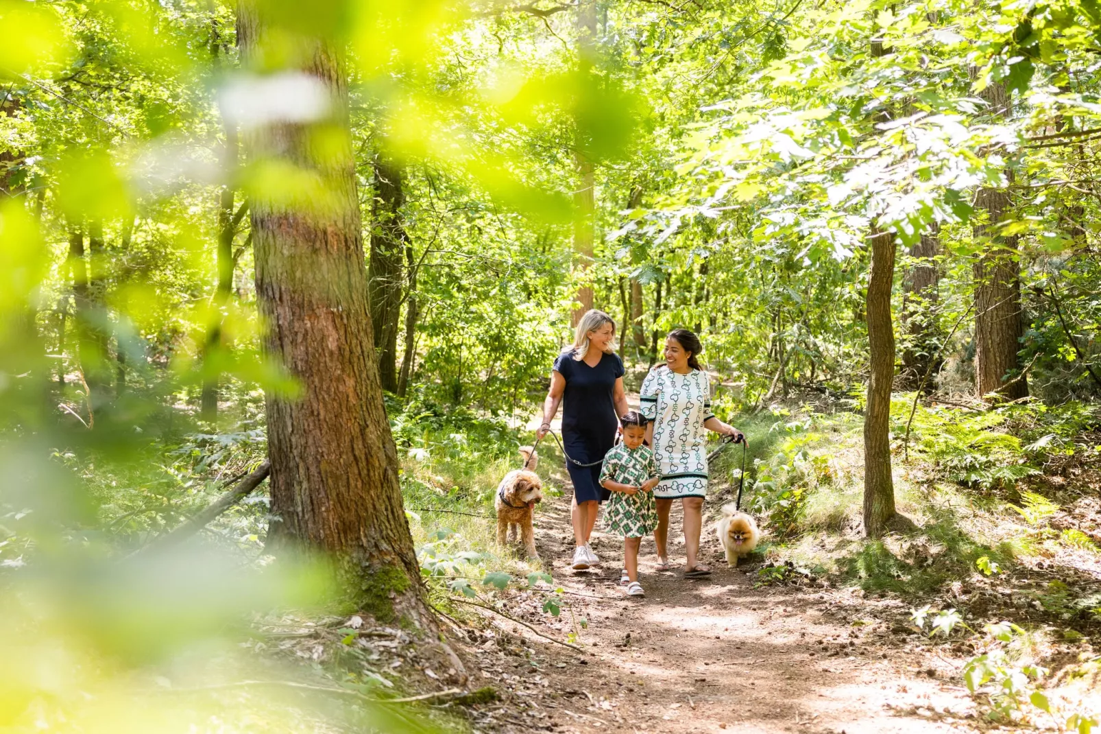 Vakantiepark Molenvelden 10-Gebieden zomer 1km