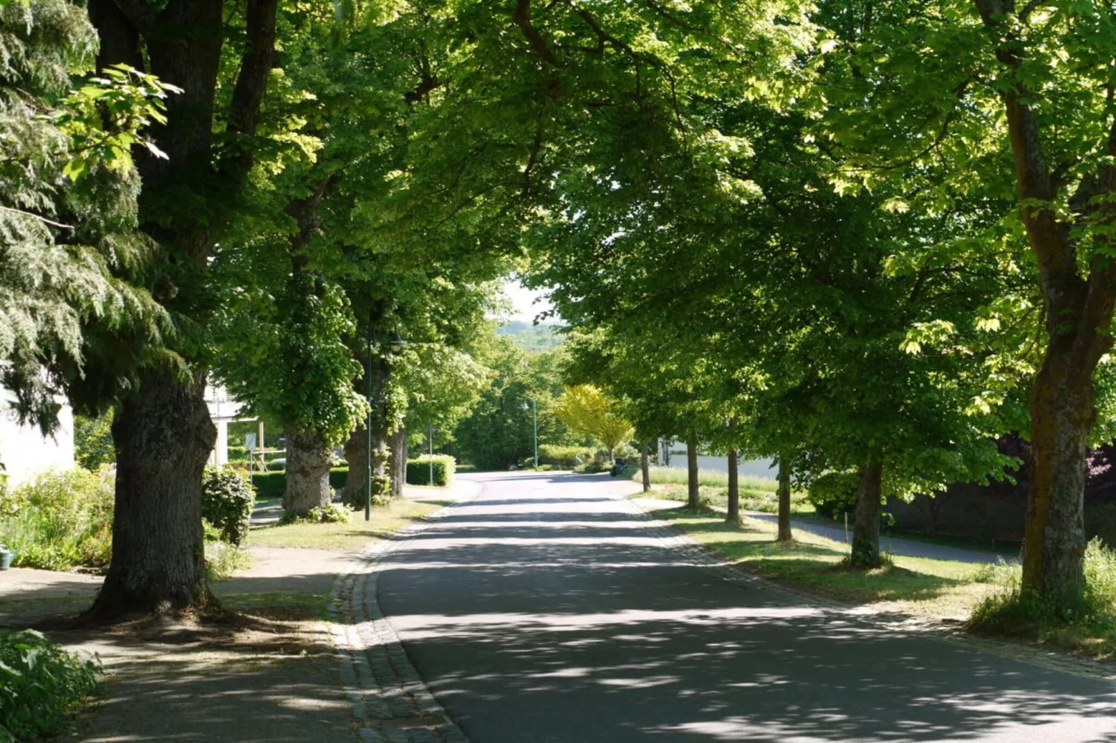 7419-Gebieden zomer 5km