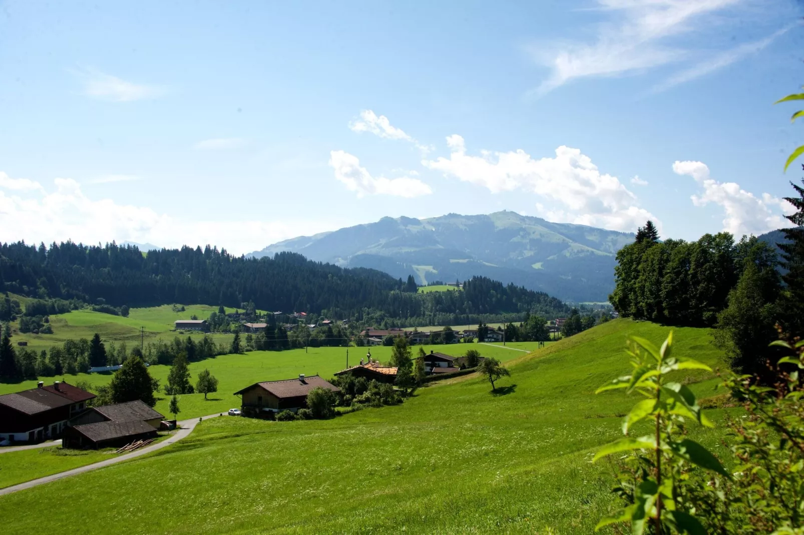 Appartement Meixner - Top 1-Uitzicht zomer