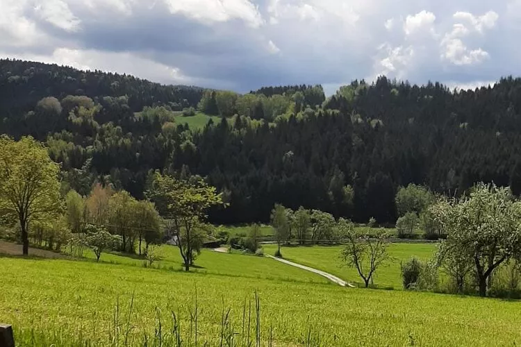 Ferienhaus Piller 6 Personen-Uitzicht zomer