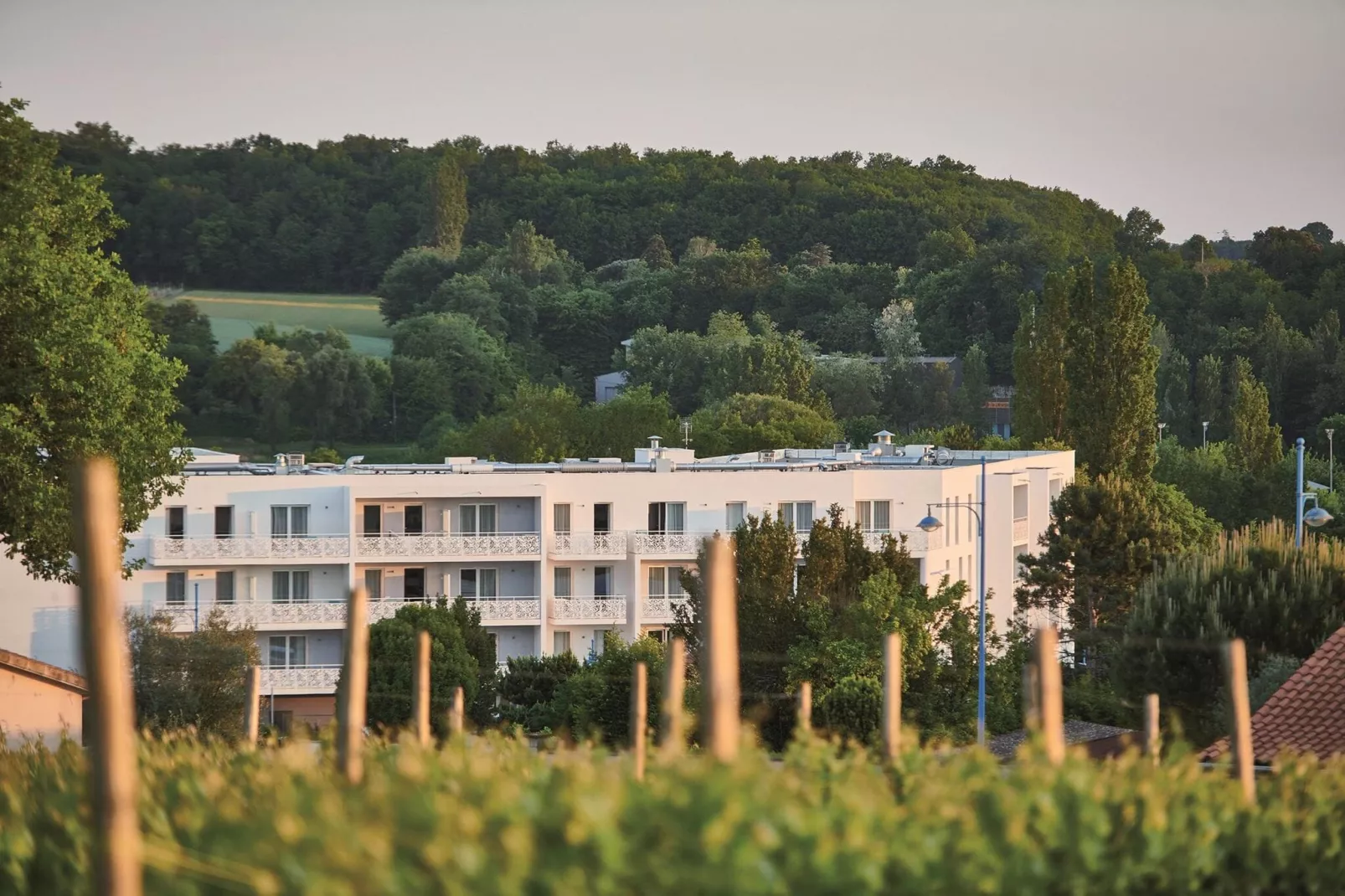 Coteaux de Jonzac 3-Buitenkant zomer