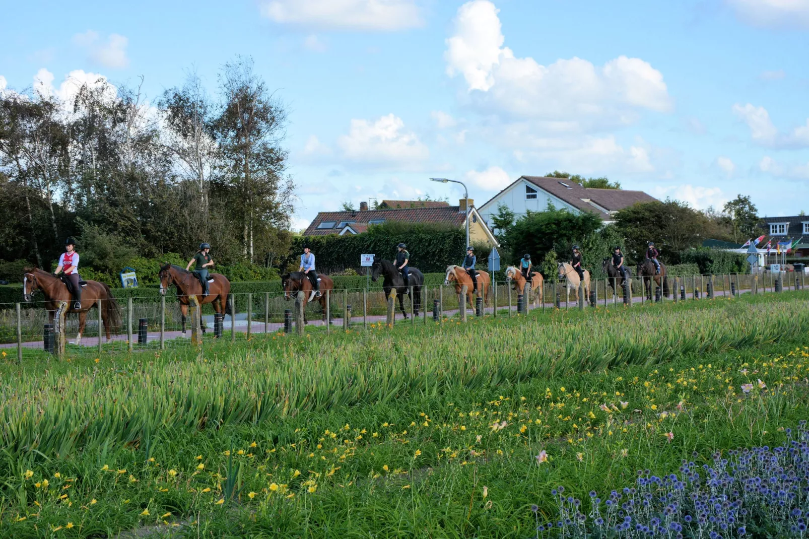 Bosch en Duyn-Gebieden zomer 1km