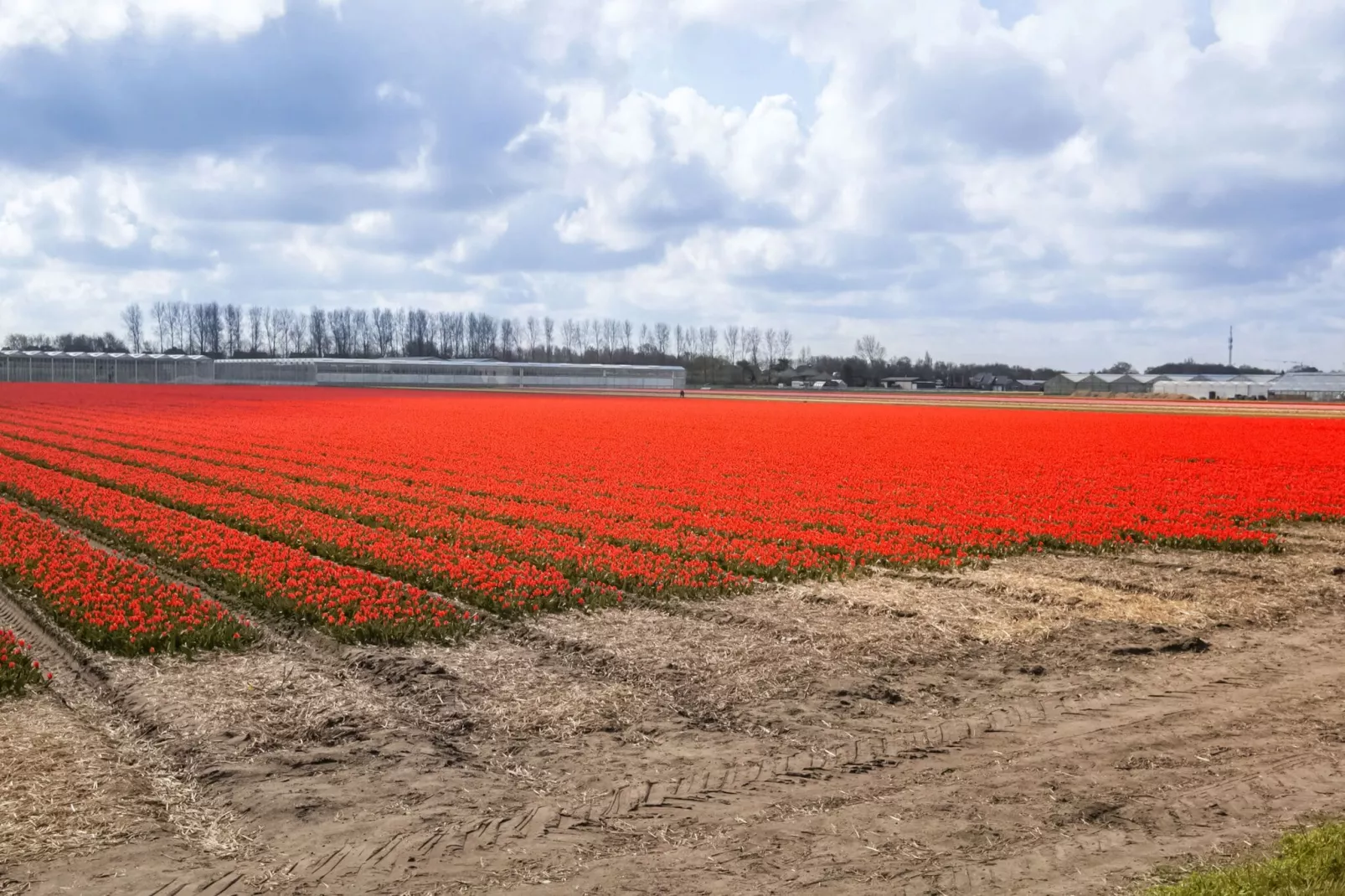 't Vogelnestje-Gebieden zomer 20km