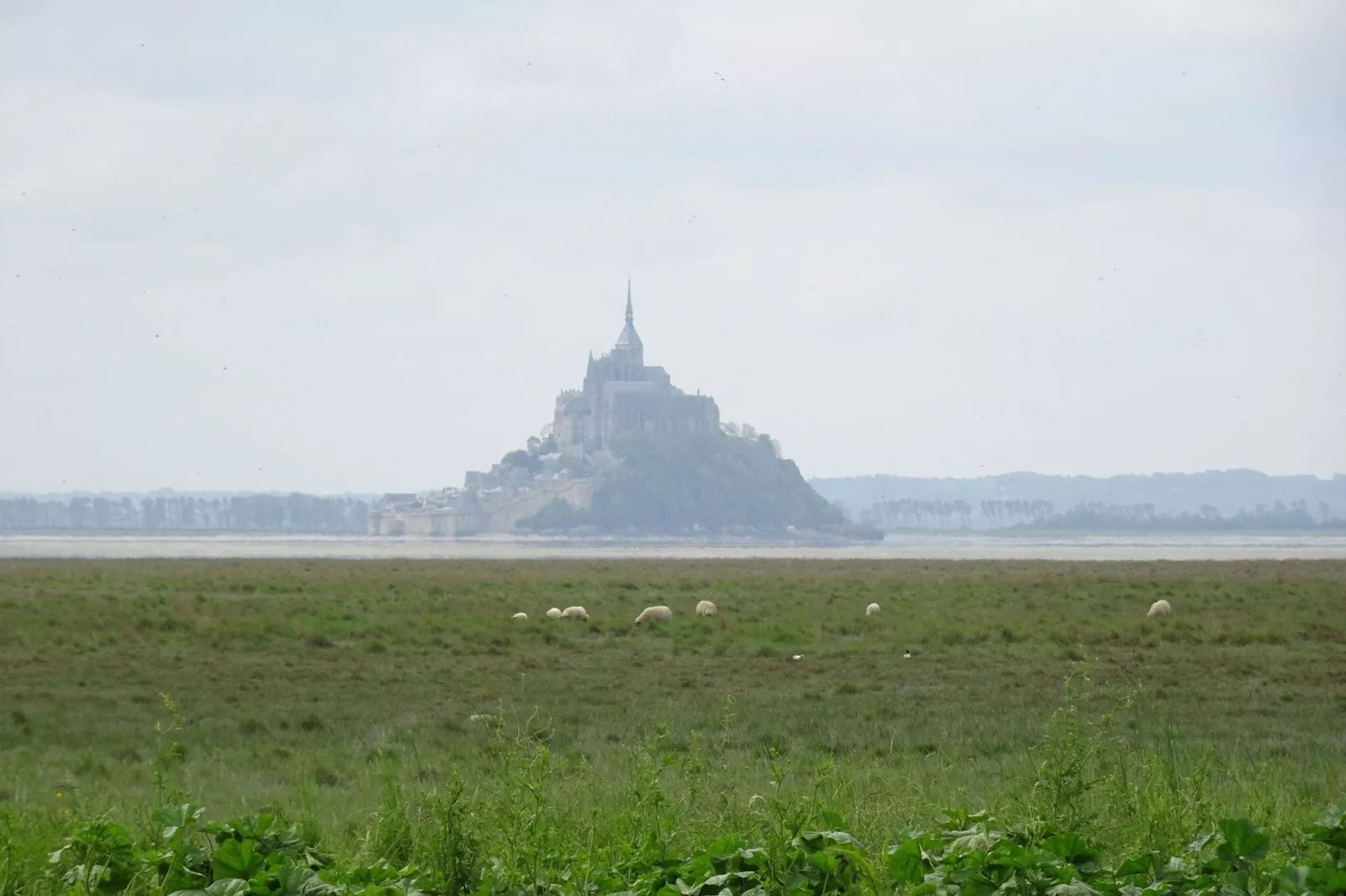 Ferienhaus Saint Martin de Bréhal-Gebieden zomer 20km