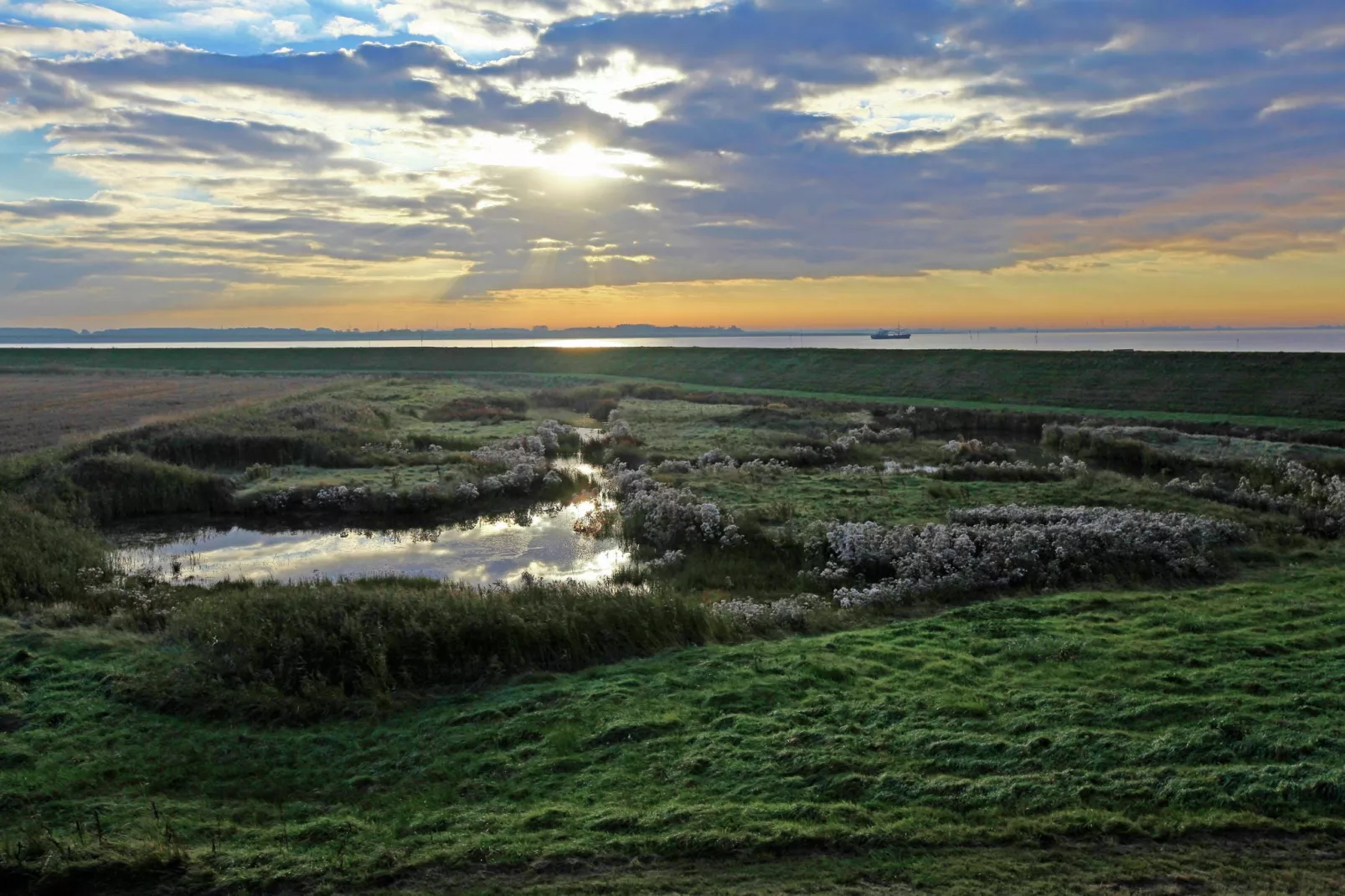 Water Resort Oosterschelde 16-Gebieden zomer 1km