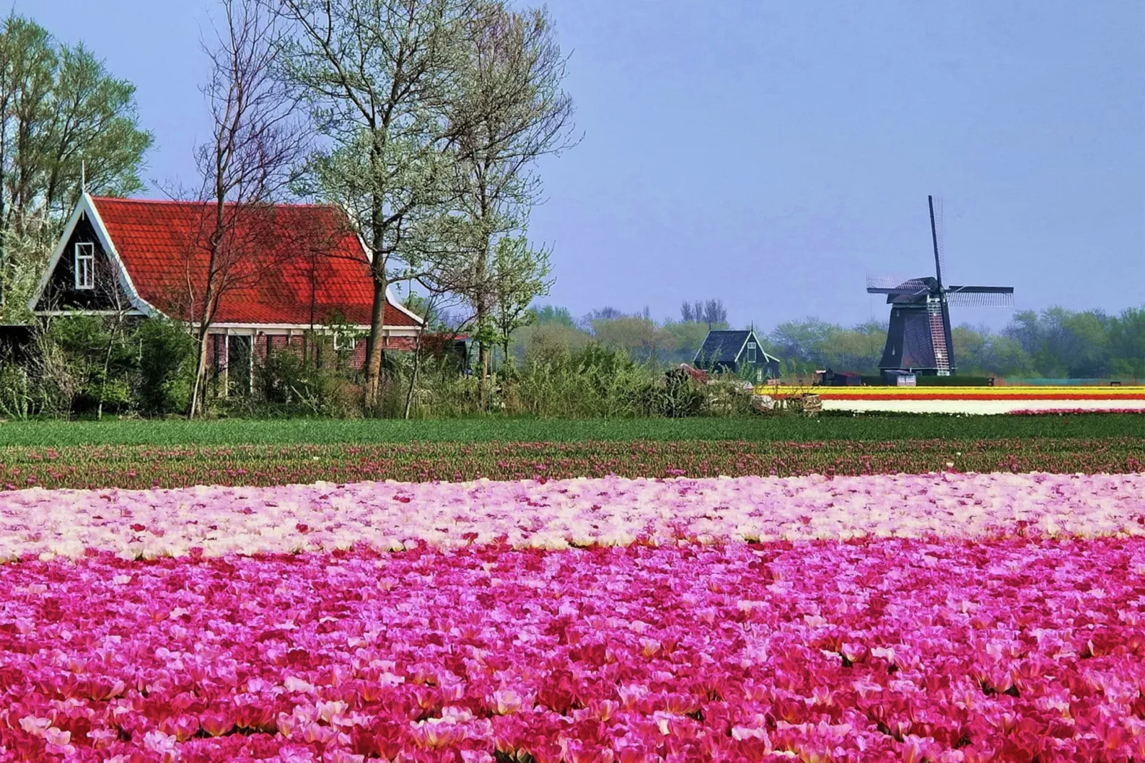 Hoeve Landzicht 22 pers-Gebieden zomer 20km