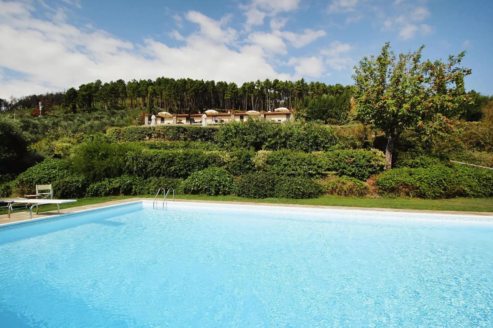 Agriturismo Cima alla Serra Pisa Bilo piano terra o primo piano-Zwembad