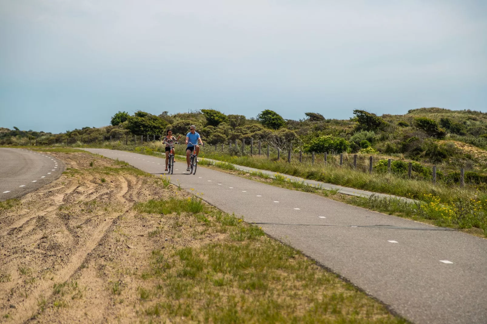 Noordwijkse Duinen 13-Gebieden zomer 5km