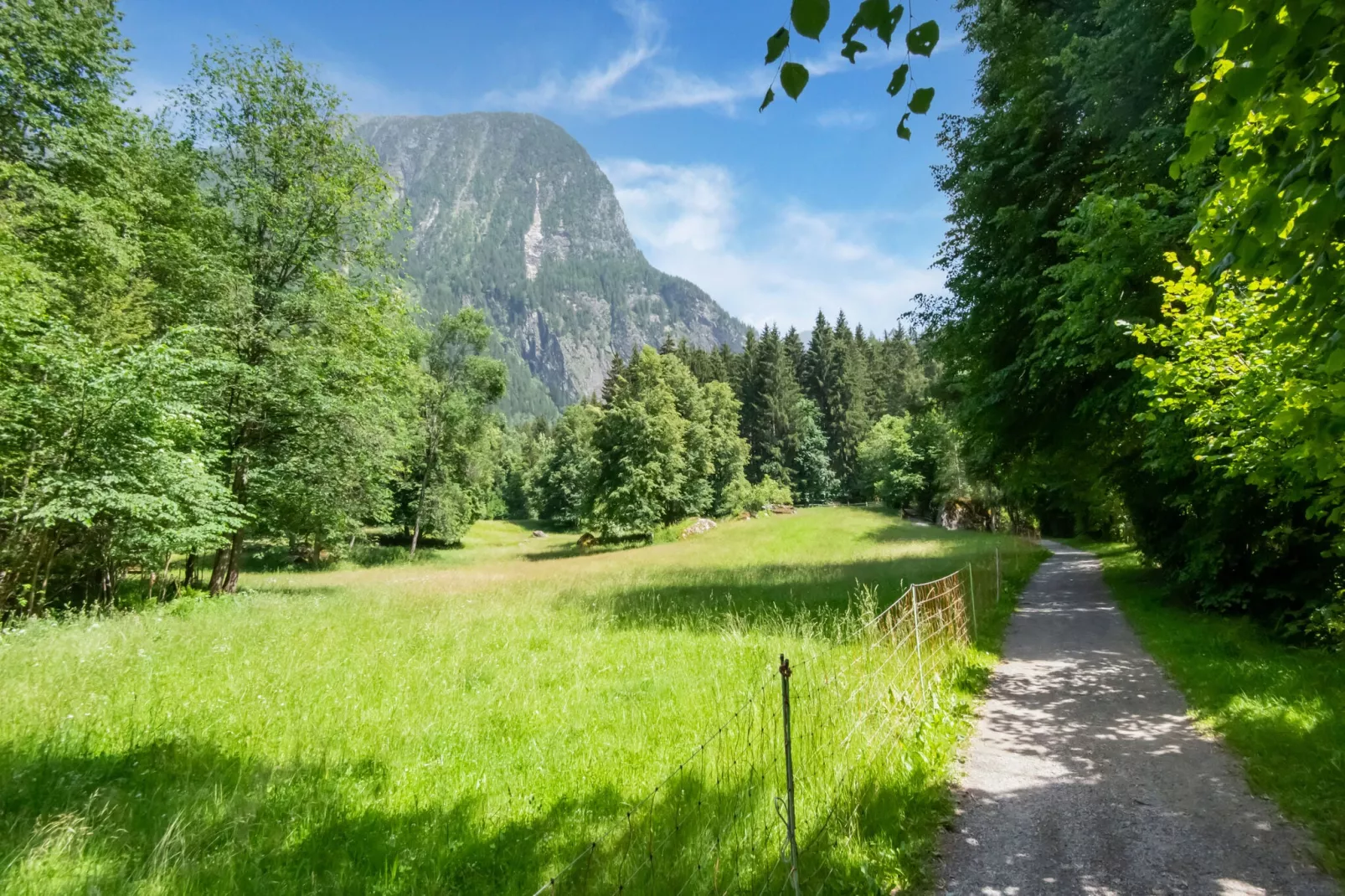 Auer-Gebieden zomer 5km