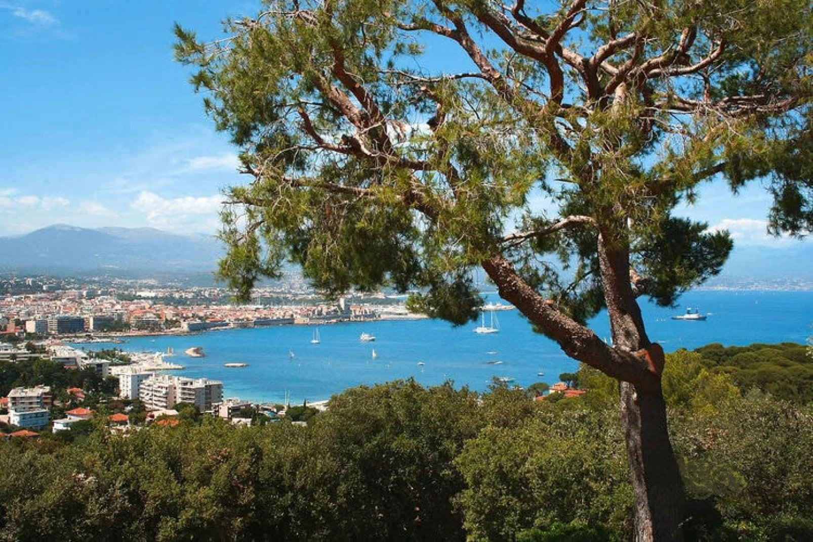 Residentie Les Rives de Cannes Mandelieu, Mandelieu-la-Napoule-Gebieden zomer 1km