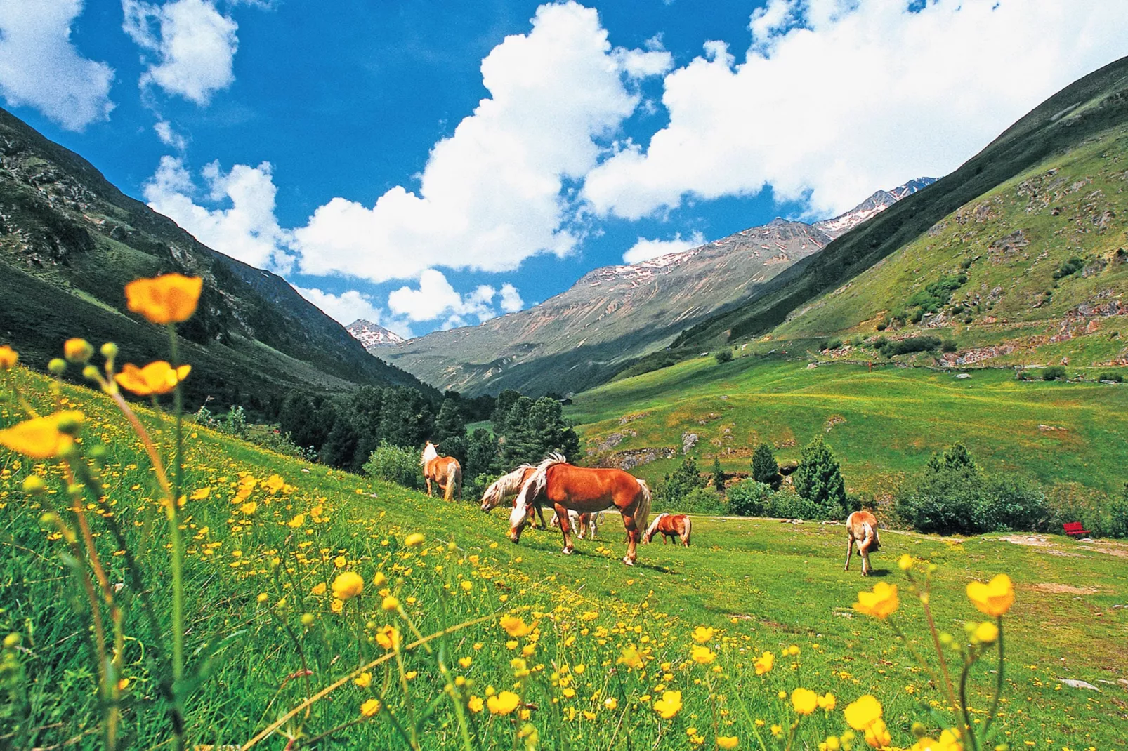 Sölden Apartment F-Gebieden zomer 20km