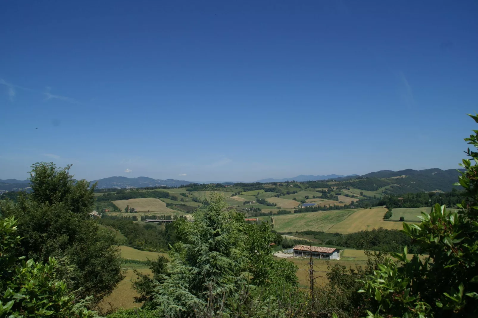 Podere Montone Fienile-Gebieden zomer 1km