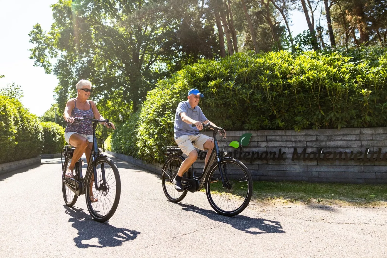 Vakantiepark Molenvelden 11-Gebieden zomer 1km