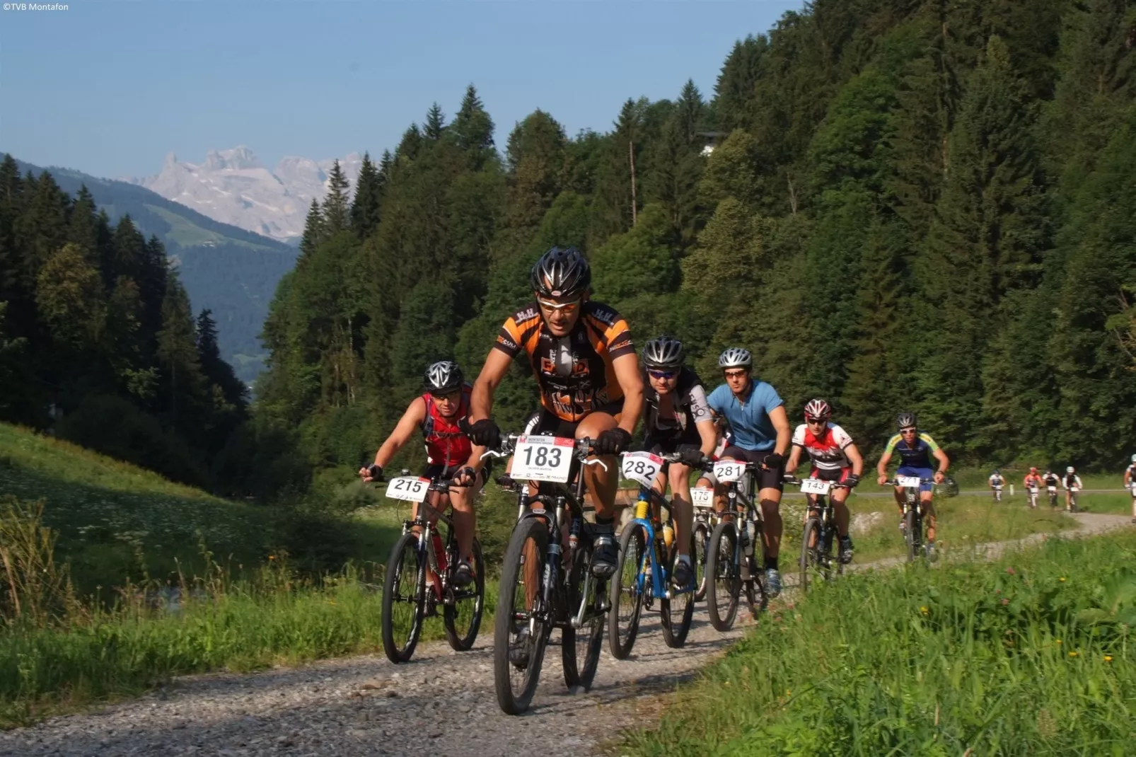 Marco 2-Gebieden zomer 5km