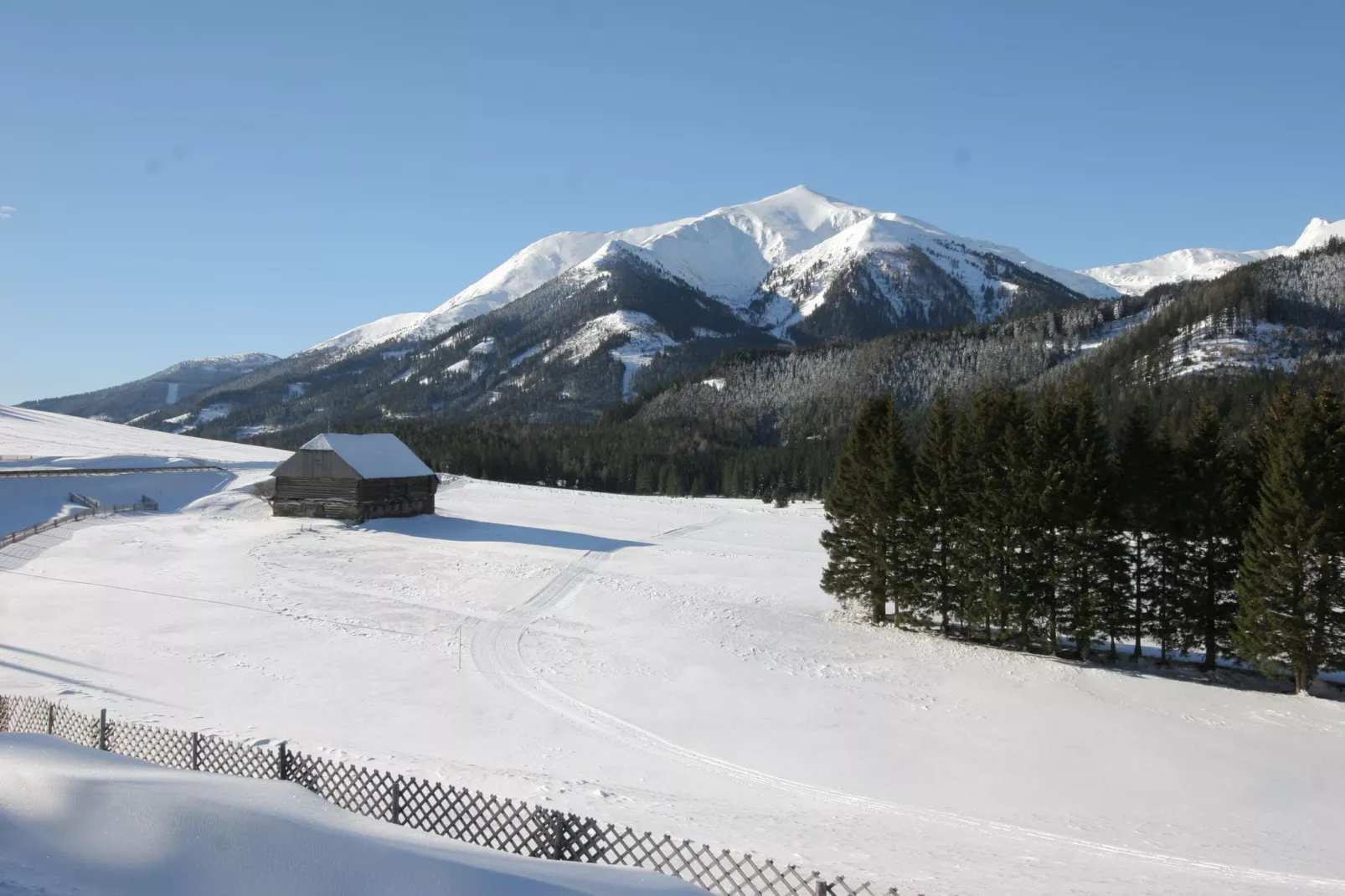 Chalet Quadrifoglio-Gebied winter 5km