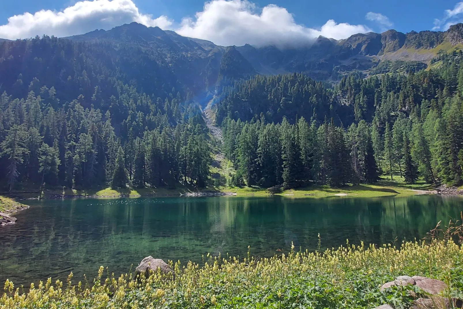 Luxe vakantiechalet in Steiermark met sauna-Gebieden zomer 1km