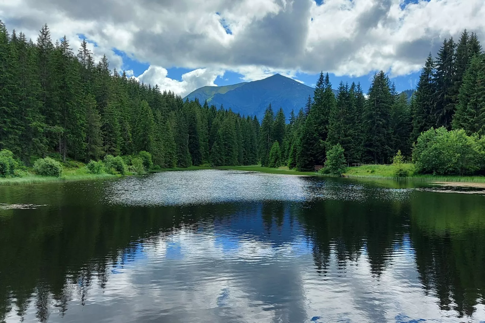 Luxe vakantiechalet in Steiermark met sauna-Gebieden zomer 1km