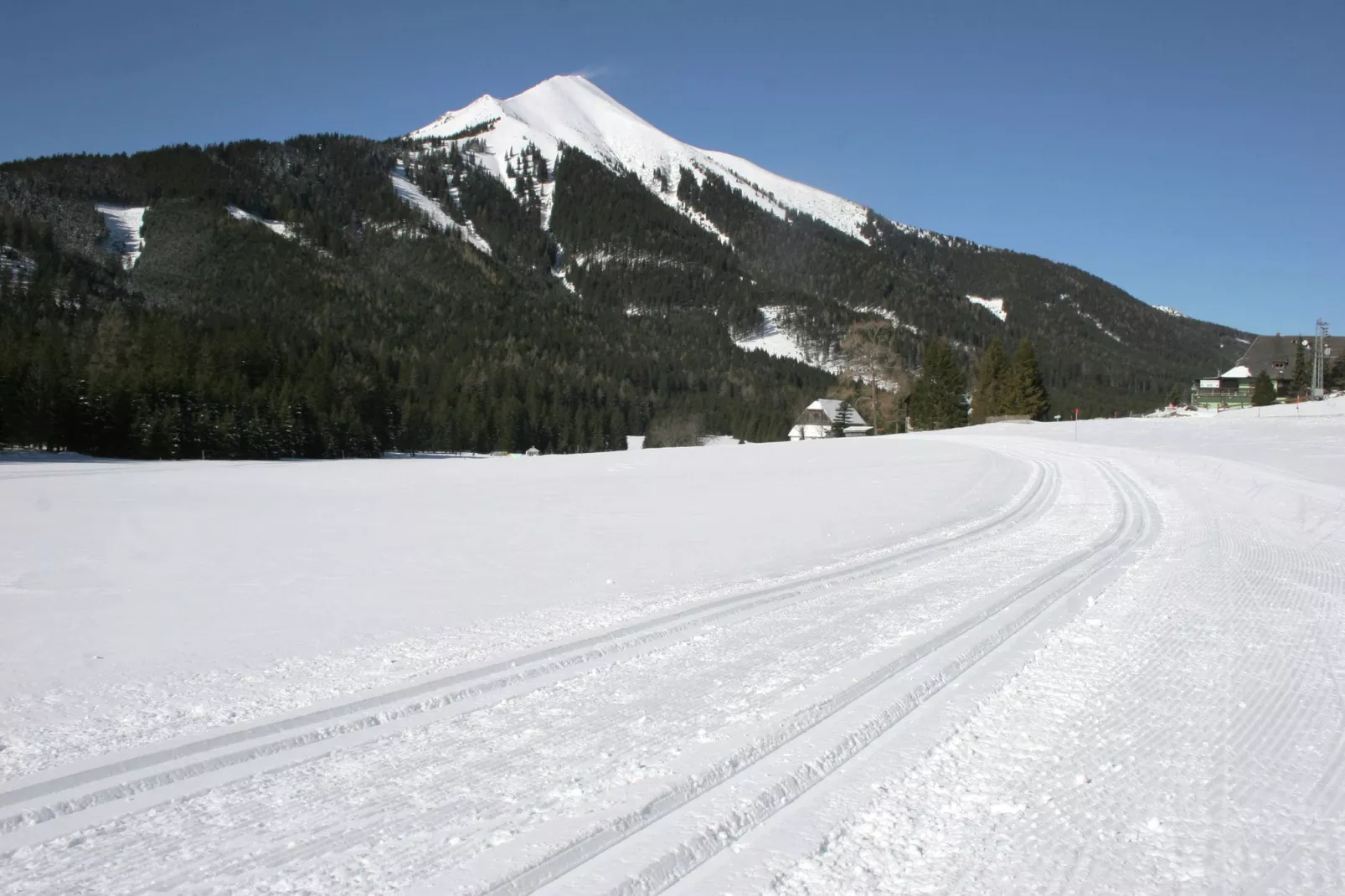 Chalet Pistenstüberl-Gebied winter 5km