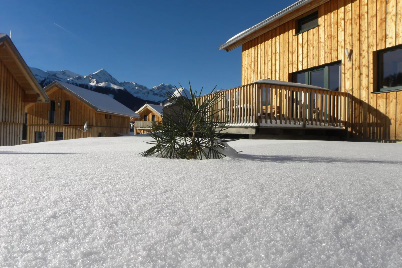 Chalet Edelweiss-Exterieur winter