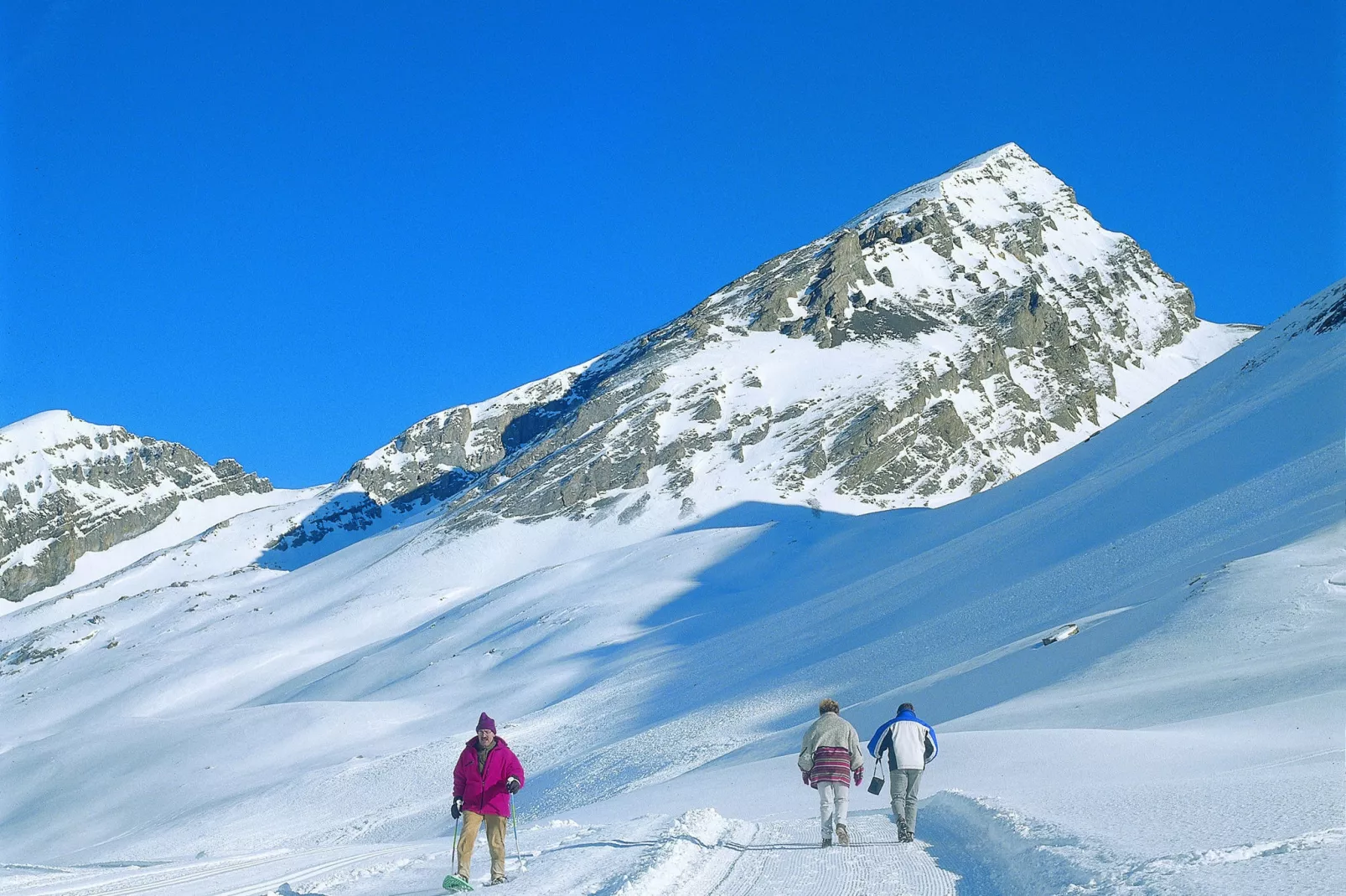 Sur Piste-Gebied winter 20km